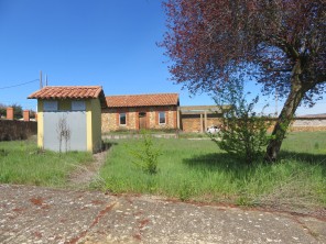 Jardín